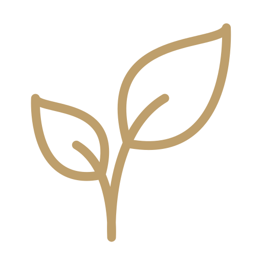 Sustainable Design